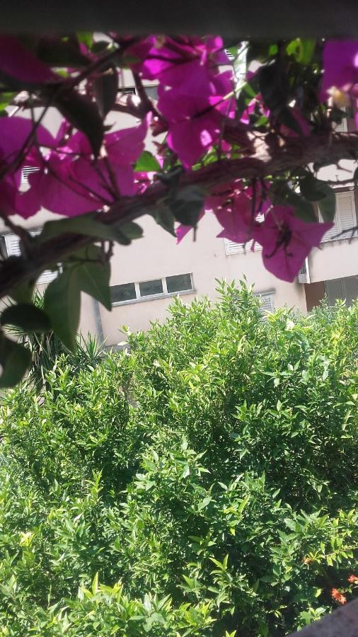 Centar Guest House Makarska Kültér fotó